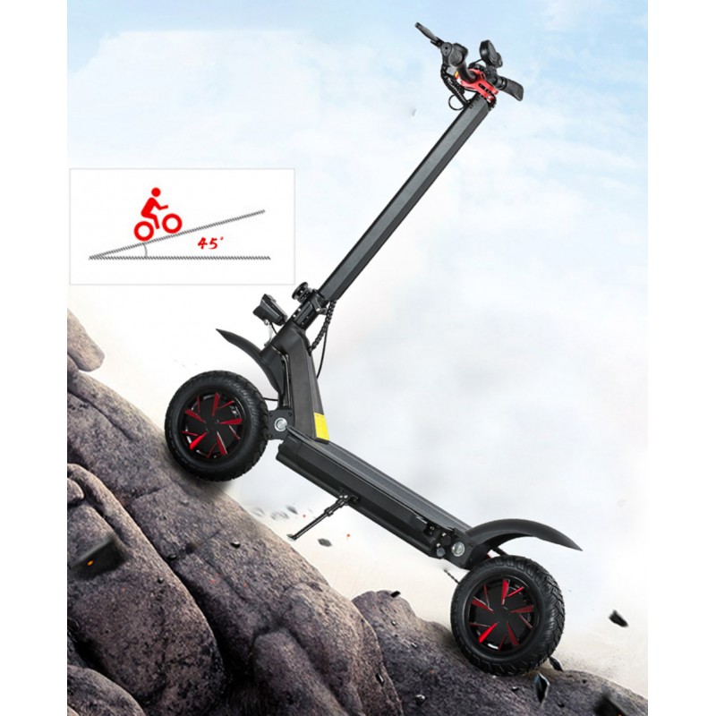 Terénní elektrokoloběžka AERIUM Ecorider 3600 W Dual černá