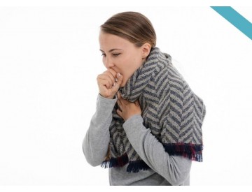 Suchý vzduch v domě se stane minulostí Suchý vzduch v domě se stane minulostí