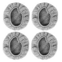 Náhradní mopovací tkanina (2 páry) pro Dewis R480