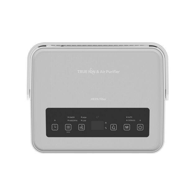 R-91110 True Ion & Air Purifier