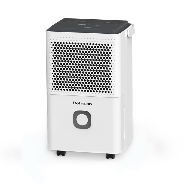 Rohnson R-91312 True Ion & Air Purifier